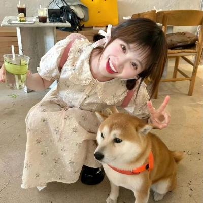 简讯爱情