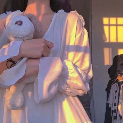 天降神犬2